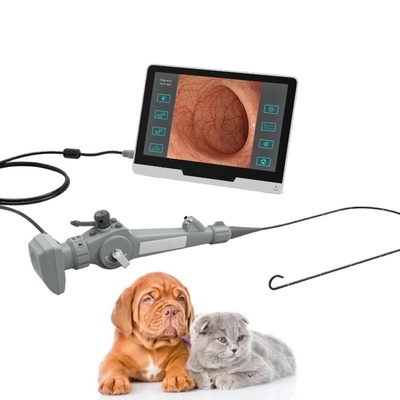 Video endoscopio flessibile portatile per la cistoscopia animale Bronchscopy