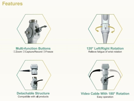 Video endoscopio flessibile portatile per la cistoscopia animale Bronchscopy